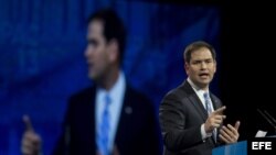 El senador republicano por Florida, Marco Rubio.